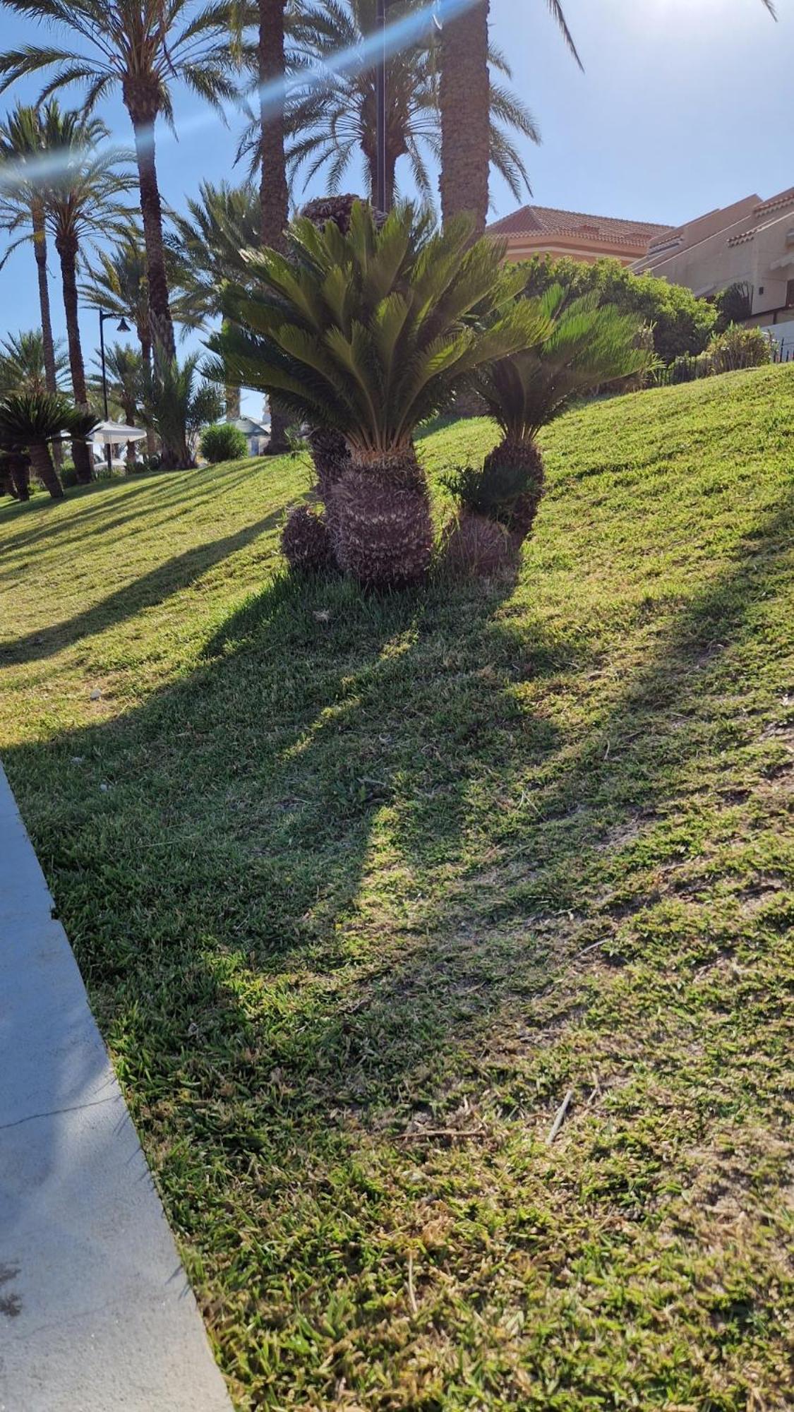 Torres Del Sol Luxury Las Americas Playa de las Americas (Tenerife) Exterior foto